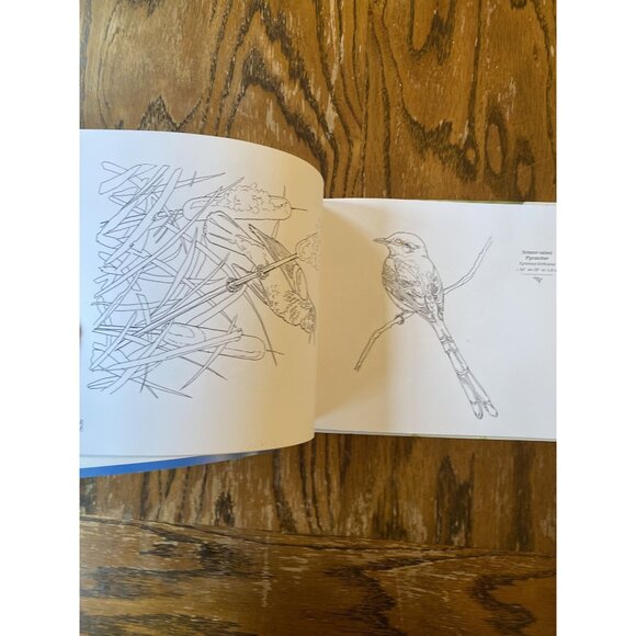 The Sibley Birds Coloring Field Journal By Cecilia Lehar Hardcover NEW - Picture 5 of 7